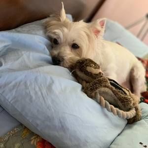 Meet your Posher, Tingting